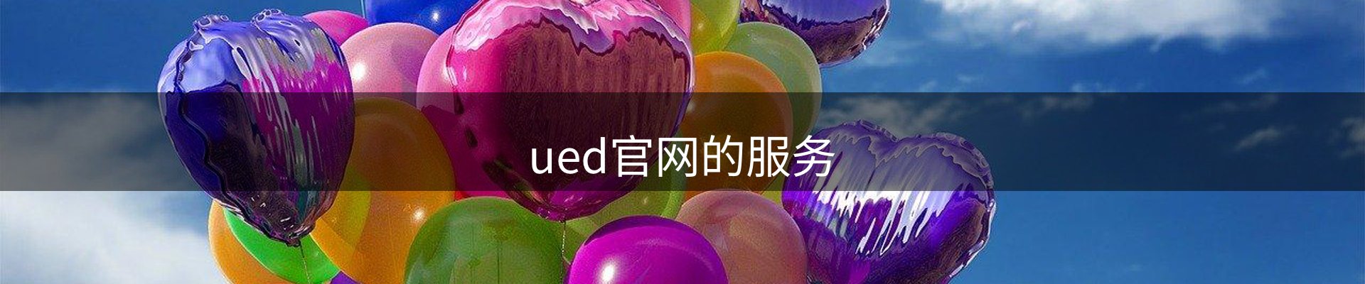 ued官网的服务